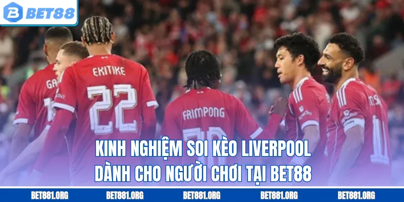 Kinh nghiệm soi kèo Liverpool dành cho người chơi tại Bet88