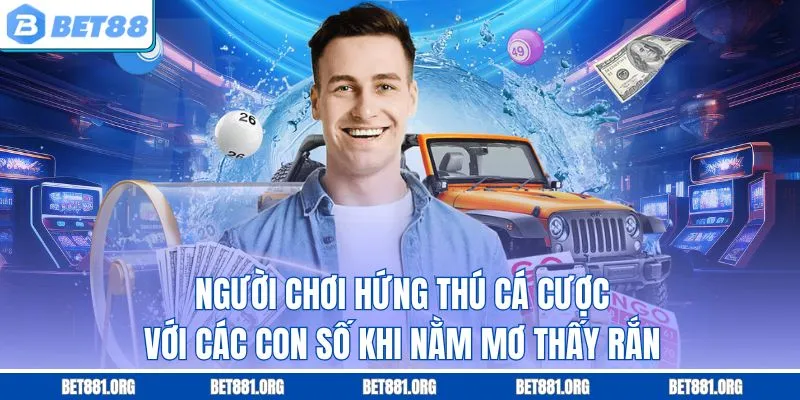 Người chơi hứng thú cá cược với các con số khi nằm mơ thấy rắn